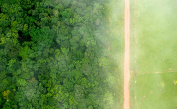 Revolutionize Food Production System or Face Mass Deforestation, Scientists Warn