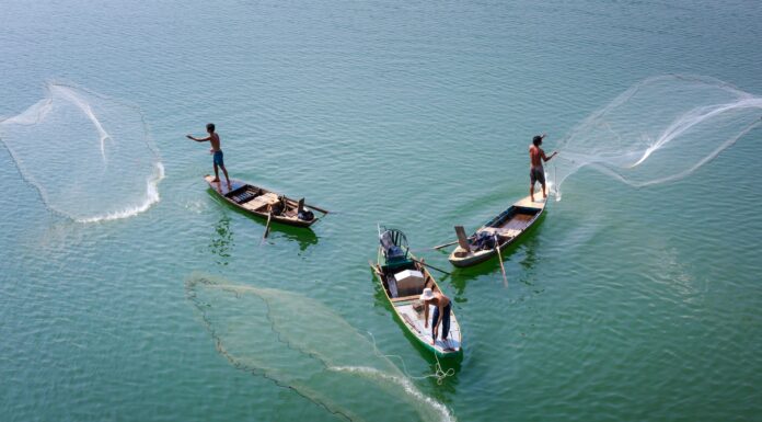 Why Communities Must Be at the Heart of Conserving Wildlife, Plants, and Ecosystems