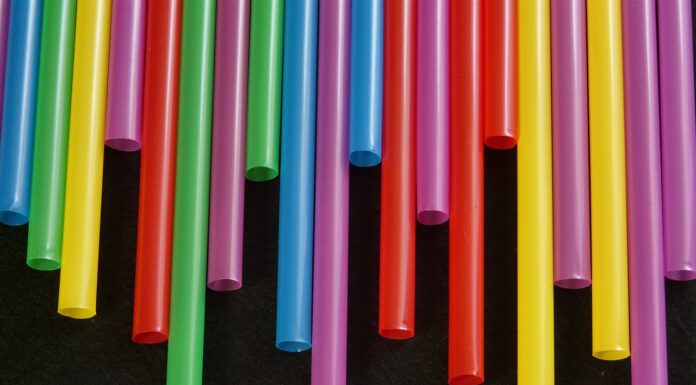 Wales to Ban Single-Use Plastics Next Year