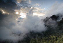 Ecosystems Containing “Irrecoverable Carbon” Must be Protected to Avoid Climate Catastrophe Says New Study