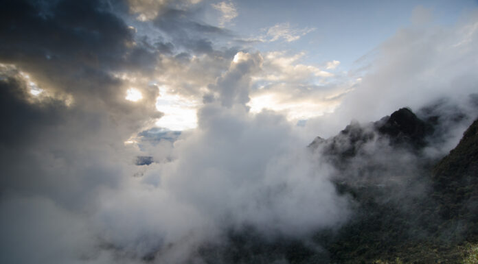 Ecosystems Containing “Irrecoverable Carbon” Must be Protected to Avoid Climate Catastrophe Says New Study