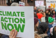 These 12 Major Cities Have Committed to Divesting from Fossil Fuels