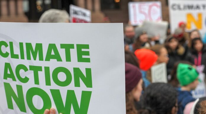 These 12 Major Cities Have Committed to Divesting from Fossil Fuels