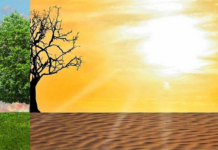 Universities Form Global Alliance to Tackle Climate Crisis