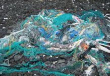 These Entrepreneurs are Turning Discarded Fishing Nets into Surfboards and Swimwear