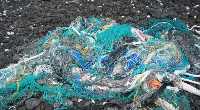 These Entrepreneurs are Turning Discarded Fishing Nets into Surfboards and Swimwear