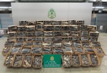 Hong Kong Authorities Seize 26 Tonnes of Shark Fins
