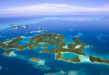 This Pacific Island has Banned Fishing to Allow the Marine Ecosystem to Recover