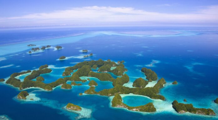 This Pacific Island has Banned Fishing to Allow the Marine Ecosystem to Recover