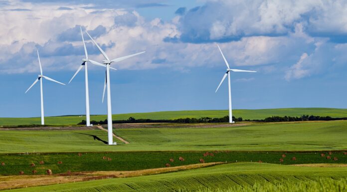 Global Fossil Fuel Demand’s ‘Staggering’ Fall