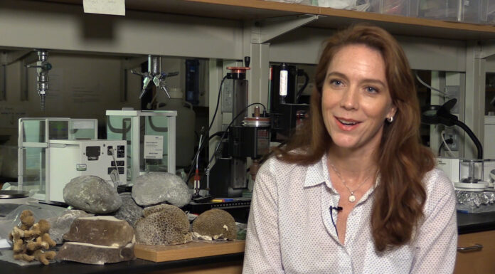 A Leading Scientist’s Transition from Climate Science to Solutions