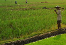 GLF Bonn: Food Systems in Focus at a Time of Crisis