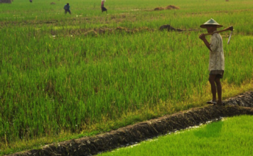 GLF Bonn: Food Systems in Focus at a Time of Crisis