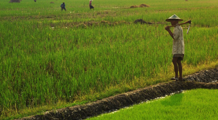 GLF Bonn: Food Systems in Focus at a Time of Crisis