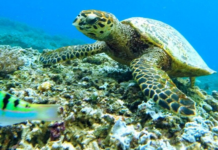 The Entrepreneurs Bringing Us One Step Closer to Solving the World’s Toughest Challenges