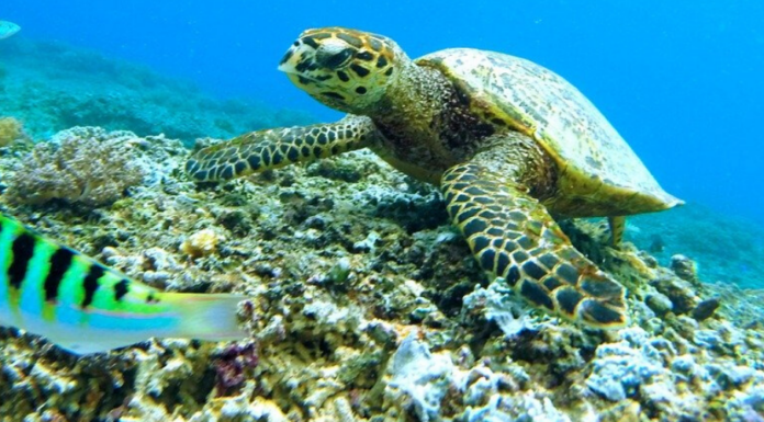 The Entrepreneurs Bringing Us One Step Closer to Solving the World’s Toughest Challenges