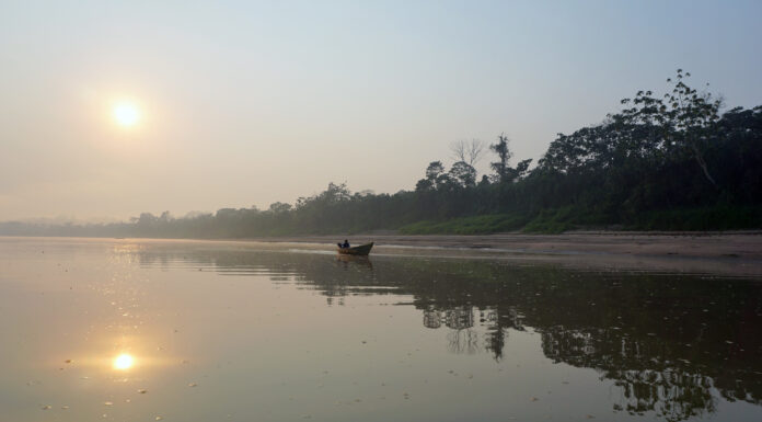 New Institutional Arrangements in Climate Mitigation Programs Show Promise in Peruvian Amazon