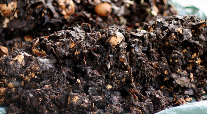 How Carbon-Smart Farming Can Feed Us and Fight Climate Change at the Same Time