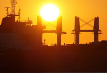 Clean Ships Needed Now to Cut Polluting Emissions