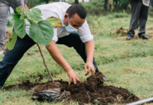 Ethiopia to Plant 5 Billion Tree Seedlings in 2020