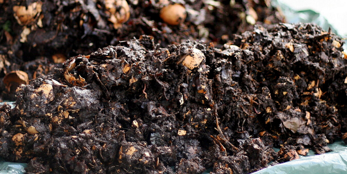 City Compost Programs Turn Garbage Into ‘Black Gold’ That Boosts Food Security and Social Justice