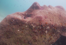 This Underwater Sculpture is Helping to Restore Coral Reefs in Thailand