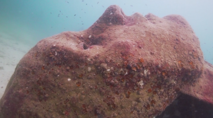 This Underwater Sculpture is Helping to Restore Coral Reefs in Thailand