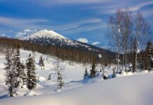 Arctic Records Its Highest Temperature Ever