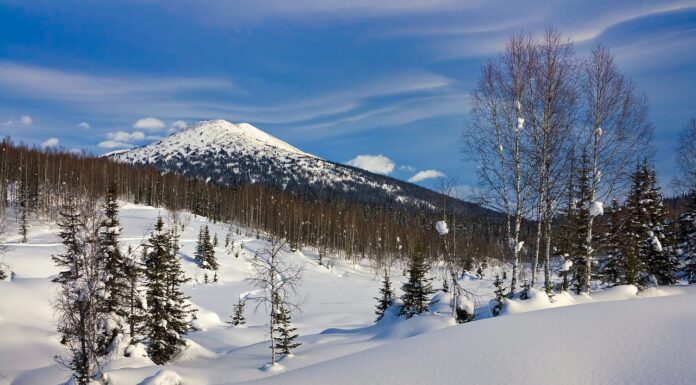 Arctic Records Its Highest Temperature Ever