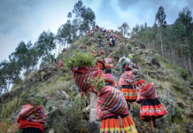 These Andean Communities are Helping Restore the World’s Highest Forests