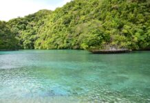 Increasing Protected Areas Could Yield $250 Billion in Economic Output