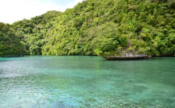 Increasing Protected Areas Could Yield $250 Billion in Economic Output