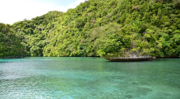 Increasing Protected Areas Could Yield $250 Billion in Economic Output