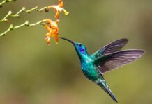 Prioritizing Nature Could Be $10 Trillion Opportunity, Create 395 Million Jobs