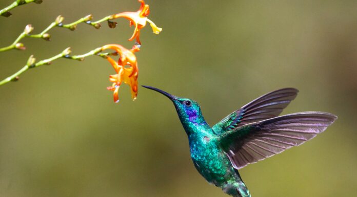 Prioritizing Nature Could Be $10 Trillion Opportunity, Create 395 Million Jobs