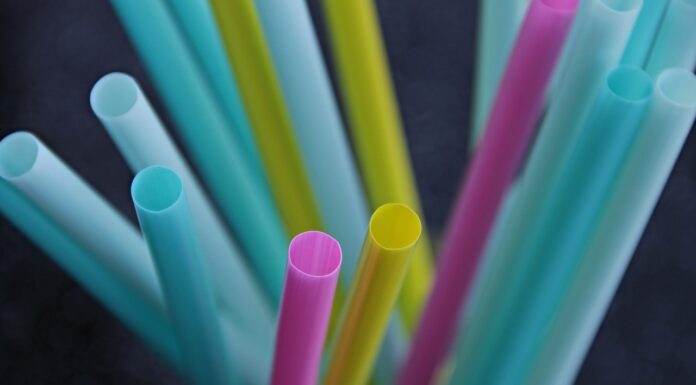 Germany Announces New Ban on Single-Use Plastic Products