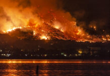 How Google Is Fighting Fire with Real-Time Mapping Data