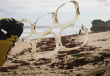 Canada Announces Ban on Single-Use Plastics Will Begin This Year