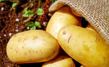 All Hail the Rise of the Climate-Smart Potato