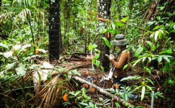 Shaping Up Forest and Landscape Restoration Initiatives