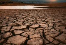 Oxfam: The World’s Poor Suffer Disproportionately from Carbon Emissions Generated by the Rich