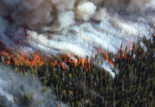 Wildfires and Weather Extremes: It’s Not Coincidence, It’s Climate Change
