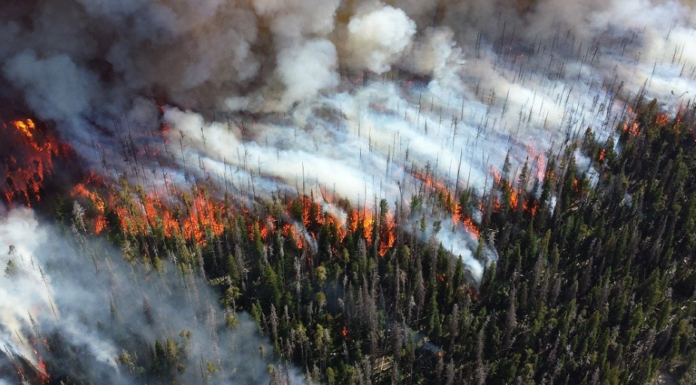 Wildfires and Weather Extremes: It’s Not Coincidence, It’s Climate Change