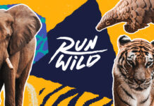 Run Wild: UN Environment and adidas Runtastic Challenge Runners to Outrun Endangered Species in Call for Conservation