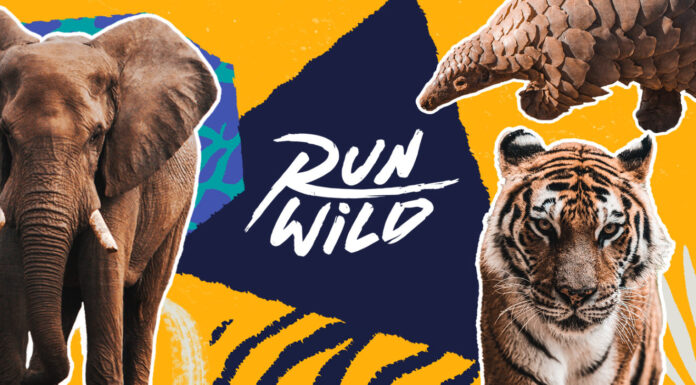 Run Wild: UN Environment and adidas Runtastic Challenge Runners to Outrun Endangered Species in Call for Conservation