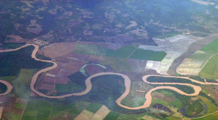 Respect for Indigenous Land Rights Key in Fight Against Climate Change