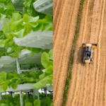 Feeding the World Vertically