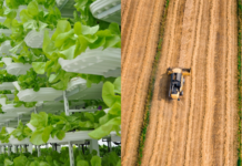 Feeding the World Vertically