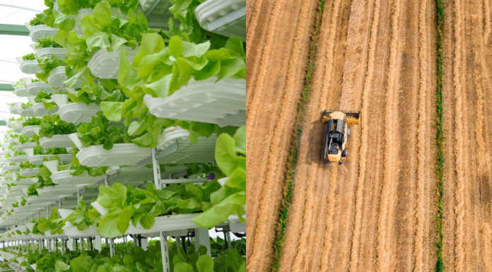 Feeding the World Vertically