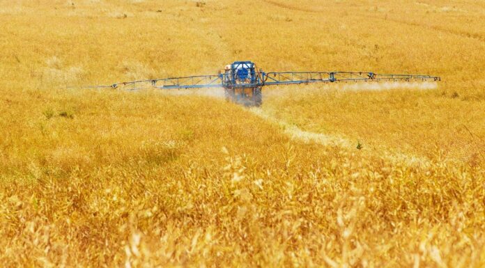 Nitrogen Fertilizers are Jeopardizing Climate Goals, New Study Finds